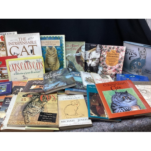 520 - Large Lot of cat Themed Books