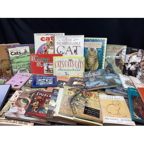 520 - Large Lot of cat Themed Books