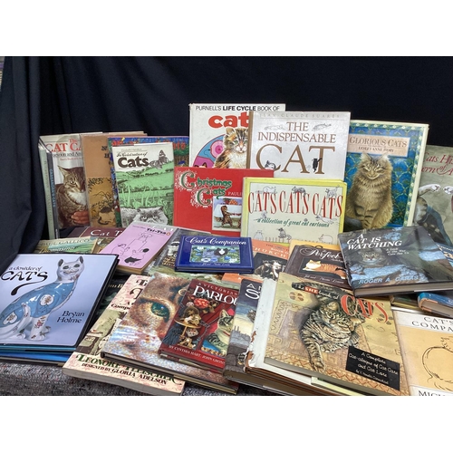 520 - Large Lot of cat Themed Books