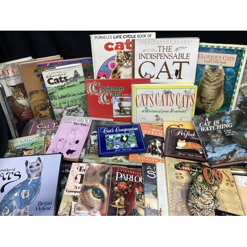 520 - Large Lot of cat Themed Books