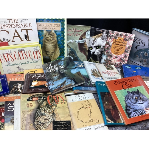 520 - Large Lot of cat Themed Books