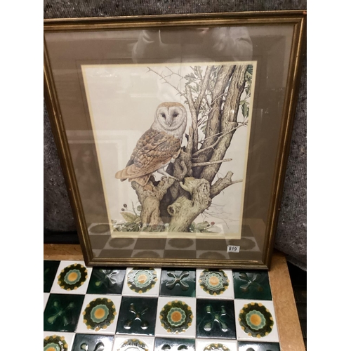 163 - Barn Owl-Stephen Gayford-Signed Ltd Edition Print