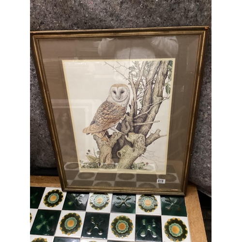 163 - Barn Owl-Stephen Gayford-Signed Ltd Edition Print