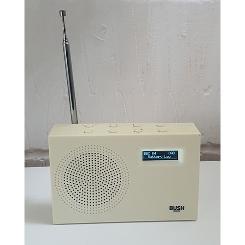 81 - Small Bush DAB digital radio