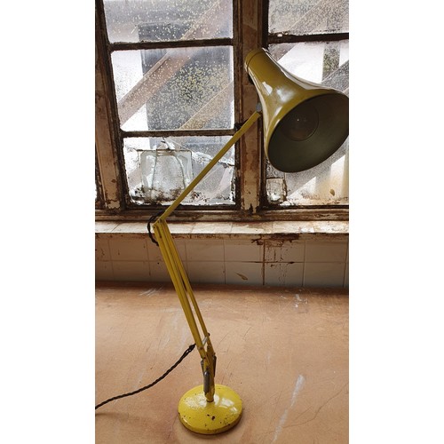 85A - Vintage Herbert Terry Anglepoise Lamp