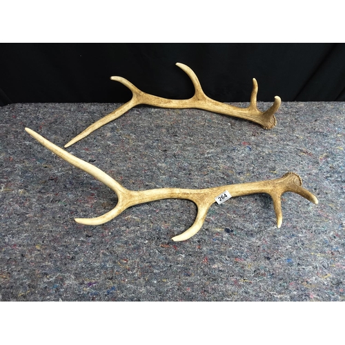 264 - Pair of Antlers