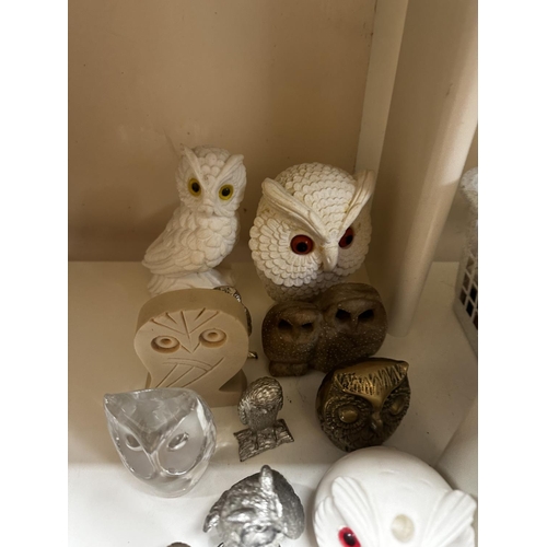 578 - Collection of Owls