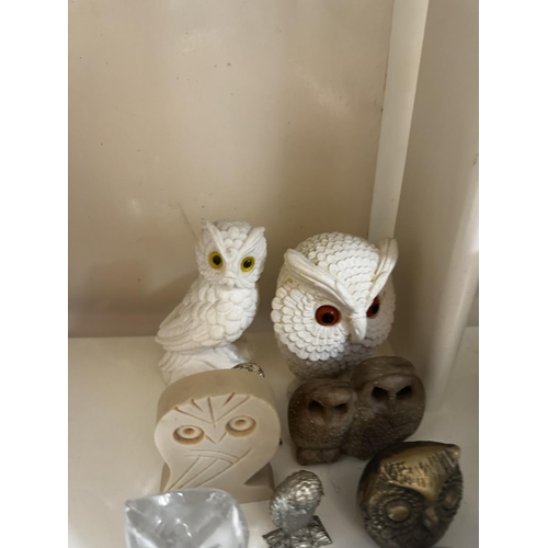 578 - Collection of Owls