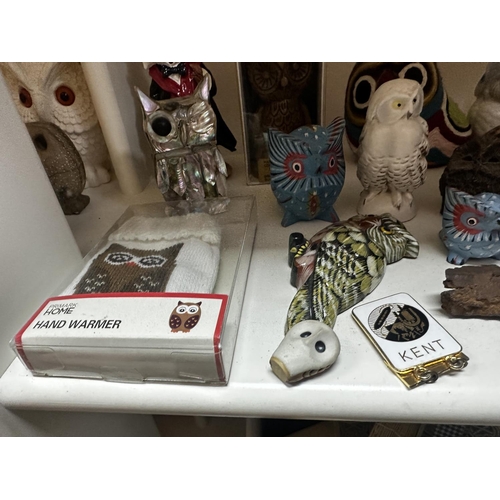 579 - Collection of Owls