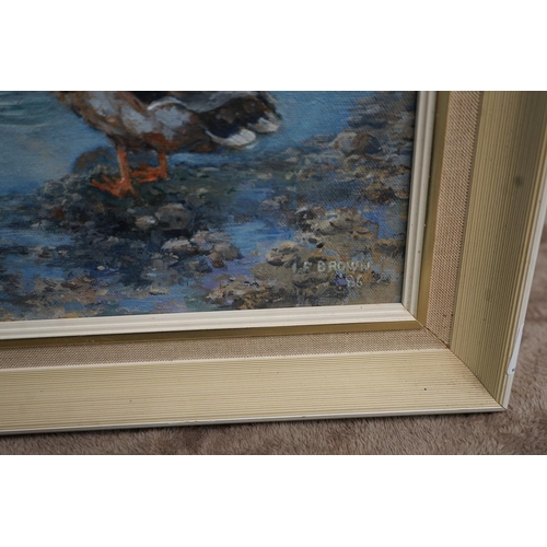 84 - Oil on Canvas-Ducks-Signed I.F Brown