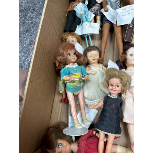 730 - A Lot of various Vintage Dolls incl. Bild Lili (Hong Kong) Doll 1950s Andy Pandy Pelham Puppet,  Pen... 