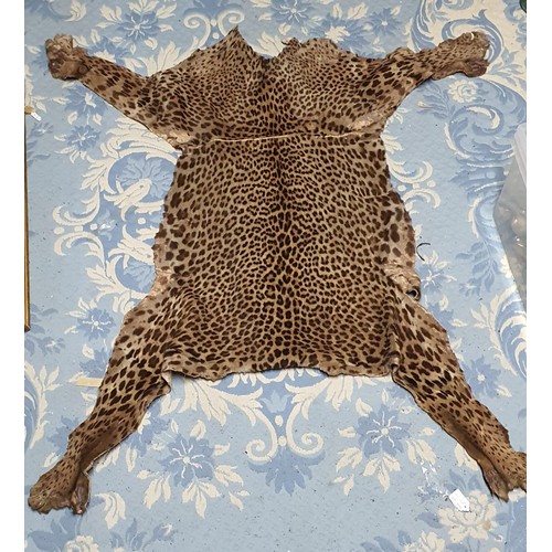 22 - Early 20th Century Leopard Skin