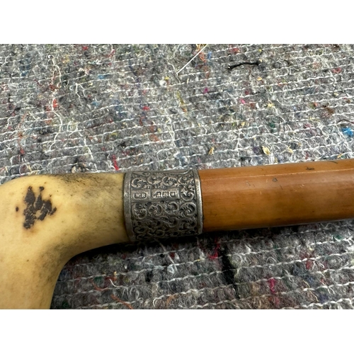 631 - Old Silver Collared Antler Handled Walking Stick