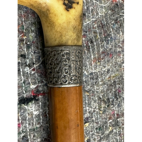 631 - Old Silver Collared Antler Handled Walking Stick