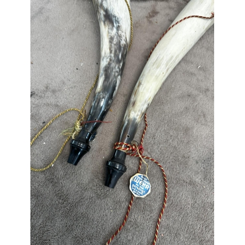 97 - Pair of Hunting Horns