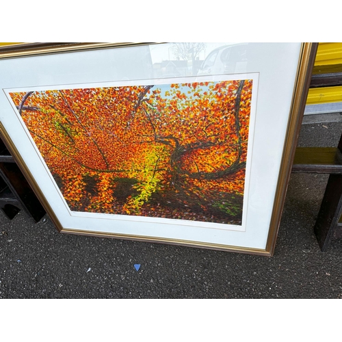 894 - Norman Stevens ARA
Fallen Tree, Kensington Gardens, 1988
Screenprint
57.2 x 78.8 cm
From the edition... 