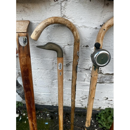 912 - Collection of Walking Sticks