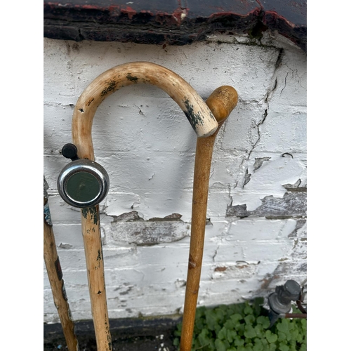 912 - Collection of Walking Sticks