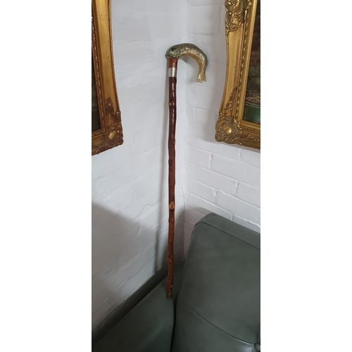 109 - Old Birch handle walking stick / cane