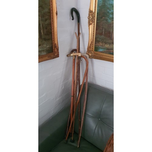 130 - Selection of good vintage walking sticks / canes