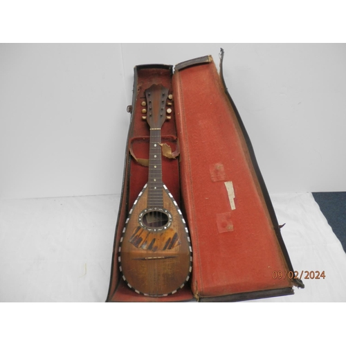 894 - 19th Century Achille Lanfranco e Figlio mandolin in Case