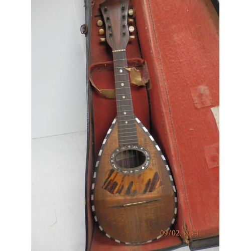 894 - 19th Century Achille Lanfranco e Figlio mandolin in Case