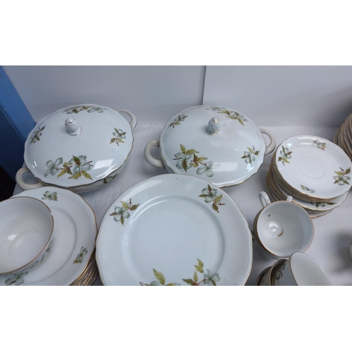 501 - Vintage China Dinner Service (76 pieces)