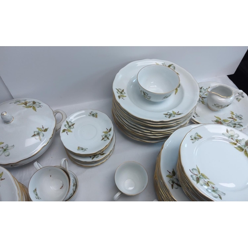 501 - Vintage China Dinner Service (76 pieces)