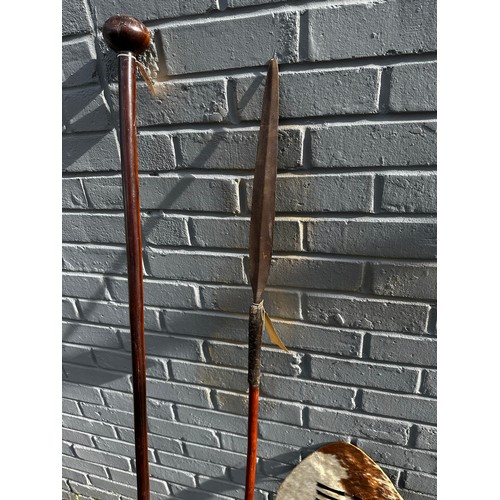 241 - Two 19th Century Zulu Cow Skin Shield (72cm x 43cm), Zulu Staff (165cm) and Zulu Spear (153cm)