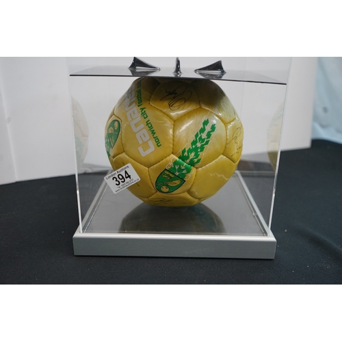 394 - Norwich City Football Club Signed Football in Display Case