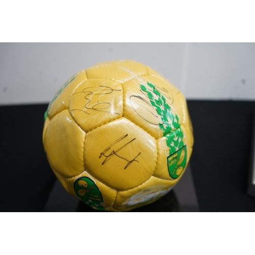 394 - Norwich City Football Club Signed Football in Display Case