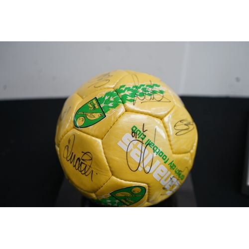 394 - Norwich City Football Club Signed Football in Display Case