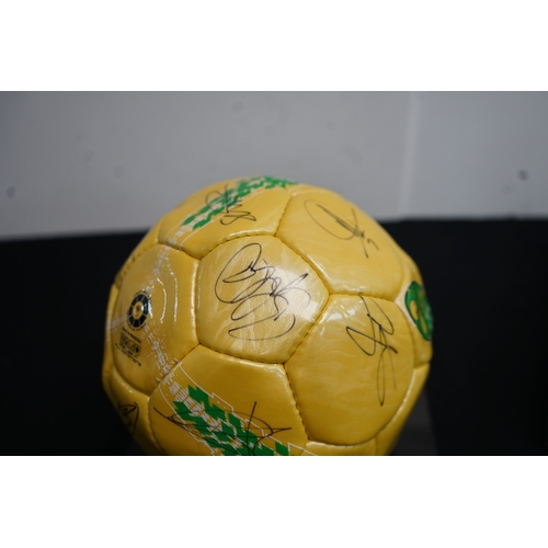 394 - Norwich City Football Club Signed Football in Display Case