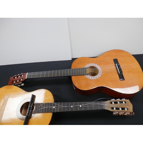 1254 - 2x  acoustic guitars Jose Jerrer/Jsh Encore