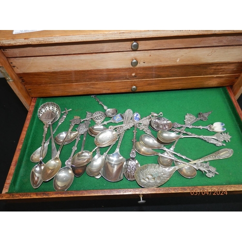 244 - Good Collection of Tea Spoons to Include Silver, Silver Plate and White Metal examples in a Set of C... 