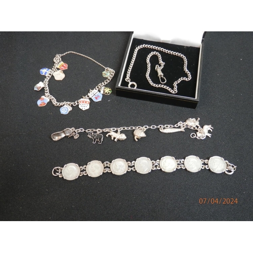 316 - Mixed Lot of Jewellery including Silver Charm Bracelets