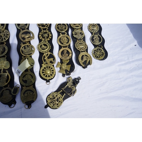 198 - A Collection of old horse brasses