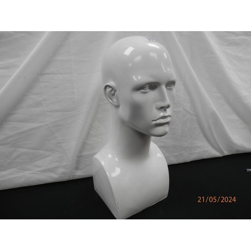 372 - Male Mannequin Head