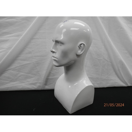 372 - Male Mannequin Head