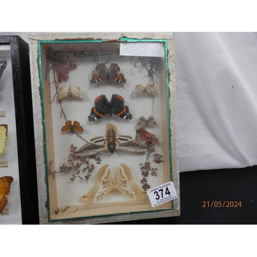 374 - Two Framed Sets of Taxidermy Butterfly's