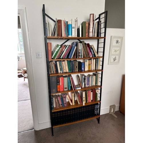 98l - Mid Century 1960s Bay of Staples Ladderax