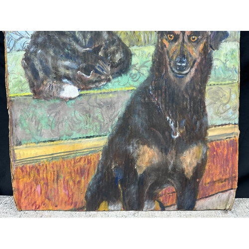 2c - Peter Samuelson (British 1912-1996) Oil on Cardboard - Peter Samuelson’s cat and dog 1992 (52cm x 52... 