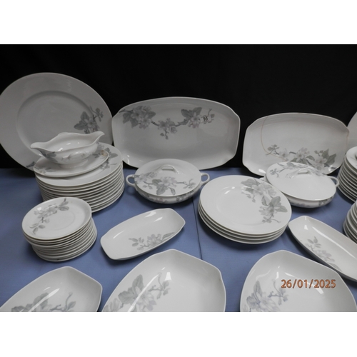 95 - Large Rosenthal Pamona Dinner Service