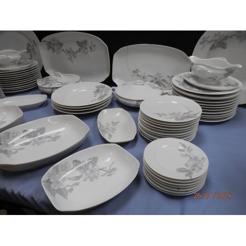 95 - Large Rosenthal Pamona Dinner Service