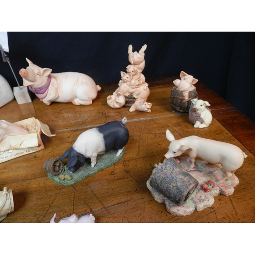 100 - Good Group of Pig Figurines to include Border Fine Arts, Holland Craft, Aynsley etc.