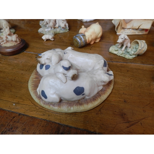 100 - Good Group of Pig Figurines to include Border Fine Arts, Holland Craft, Aynsley etc.