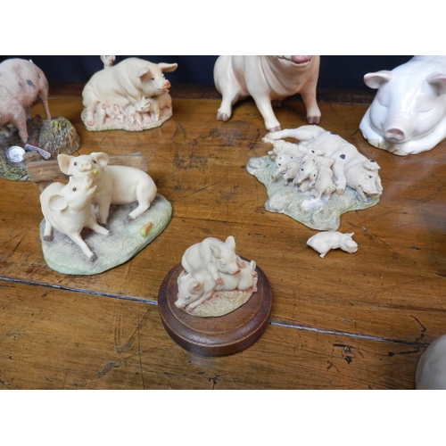 100 - Good Group of Pig Figurines to include Border Fine Arts, Holland Craft, Aynsley etc.