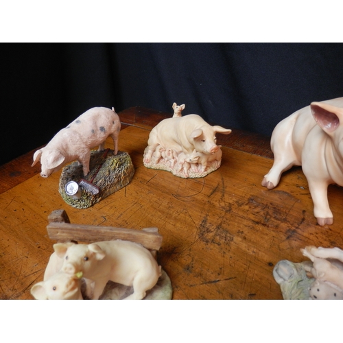 100 - Good Group of Pig Figurines to include Border Fine Arts, Holland Craft, Aynsley etc.