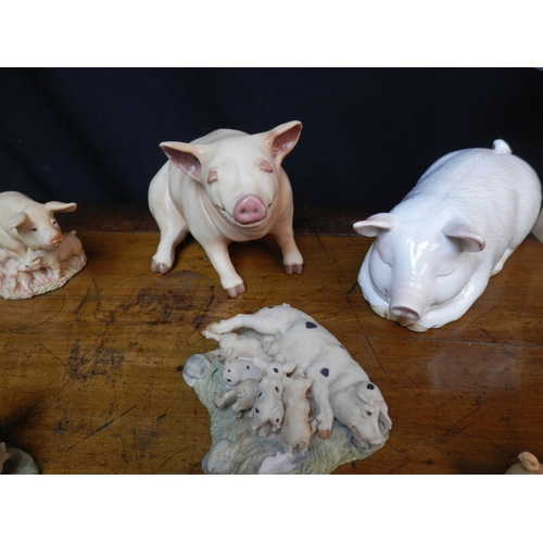 100 - Good Group of Pig Figurines to include Border Fine Arts, Holland Craft, Aynsley etc.