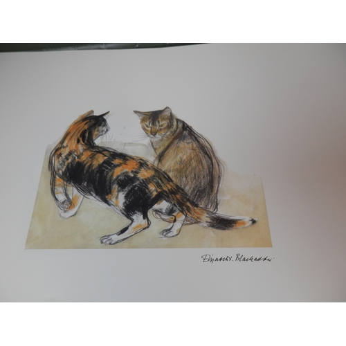 140 - After Elizabeth Blackadder The Cats Portfolio Five Watercolour Reproductions of Designs used on Roya... 